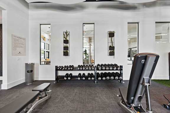 A gym with a row of dumbbells and a bench.