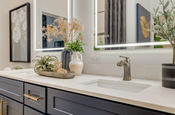 A bathroom with a sink, mirror, and a potted plant.