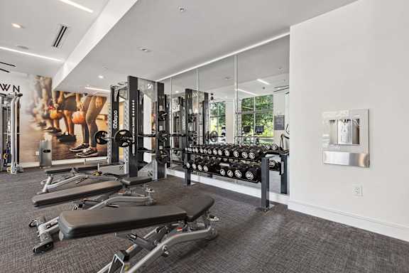 A gym with a row of treadmills and a row of dumbbells.