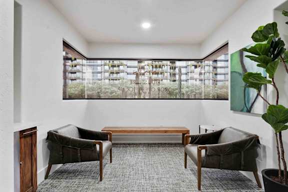 A room with a couch, chairs, and a potted plant.