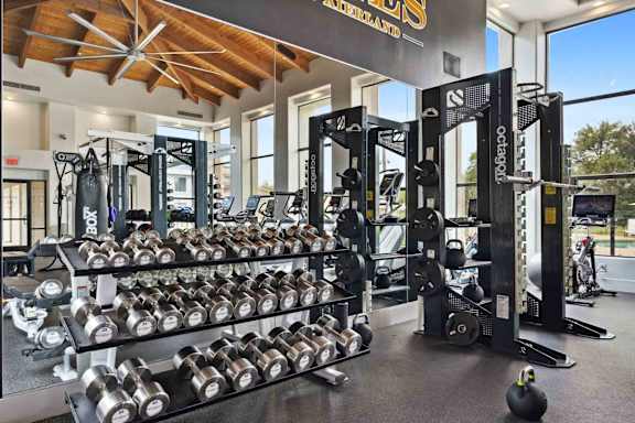 A gym with a variety of equipment including dumbbells, weight plates, and a squat rack.