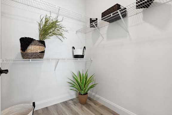 A white wall with a shelf and a plant on it.