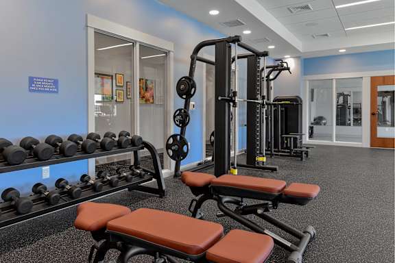 A gym with a row of dumbbells and a bench.