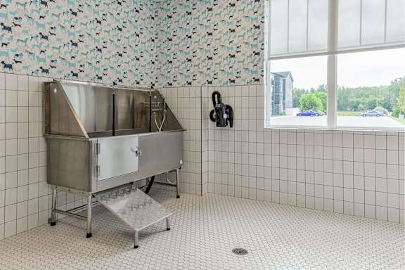 A kitchen with a stainless steel sink and a window.