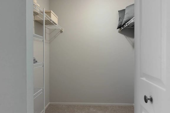 A white closet with a door and shelves.