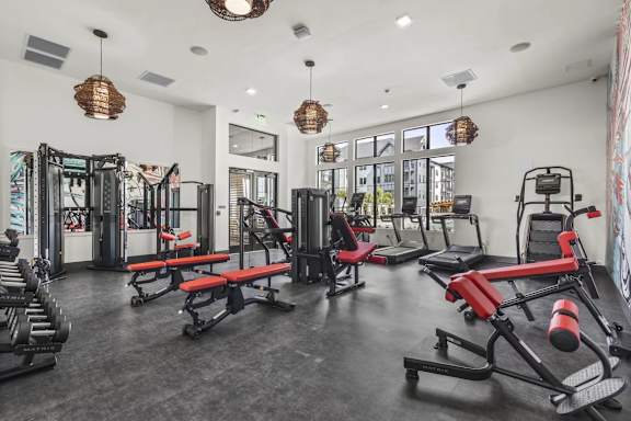 A gym with a variety of equipment including treadmills, weights, and benches.