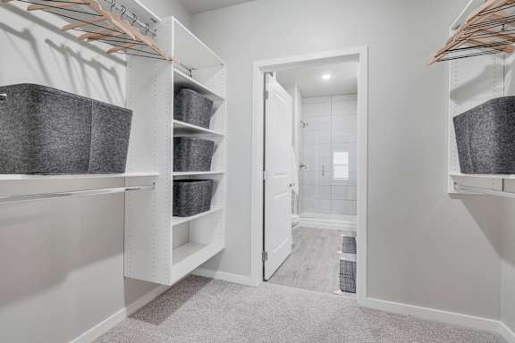 A white closet with a mirror and shelves.