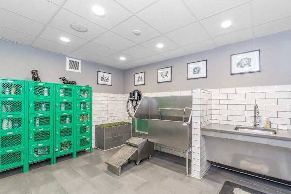 A clean, well-lit commercial kitchen with green storage containers and stainless steel appliances.