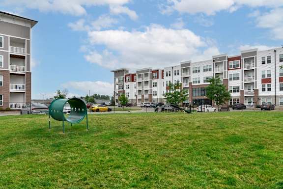 Open space dog park at The View on Collins pet friendly apartments in Lansing, MI