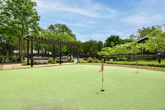 A putting green with a flag on it.