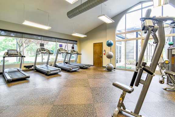 A gym with treadmills, exercise balls, and a weight machine.
