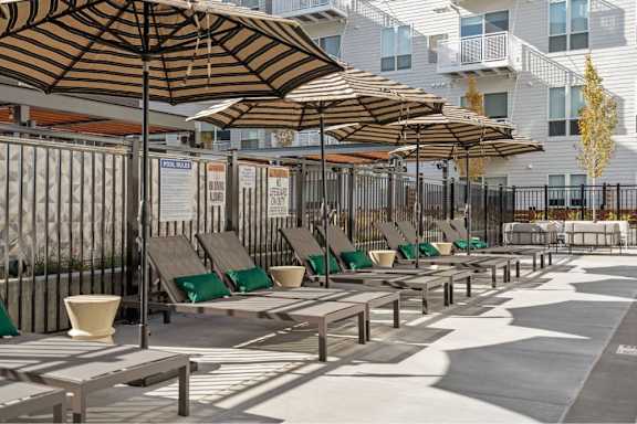 A row of sun loungers are arranged in a row under umbrellas.