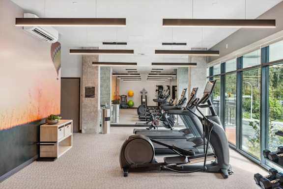 A gym with treadmills and exercise equipment.