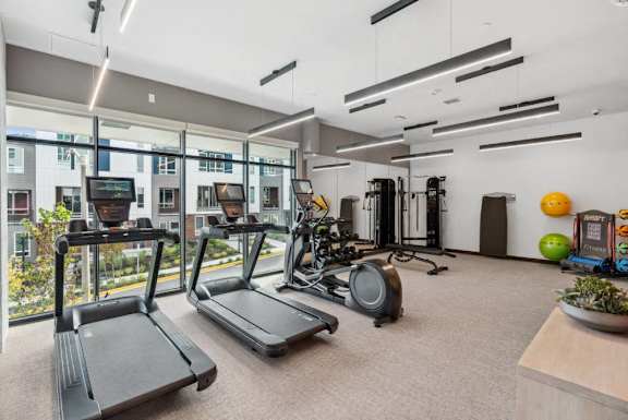 A gym with treadmills, exercise bikes, and other equipment.