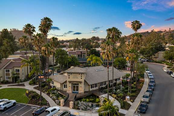 A sunny day in a residential area with a house and palm trees.