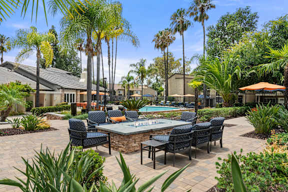 A pool surrounded by chairs and palm trees.