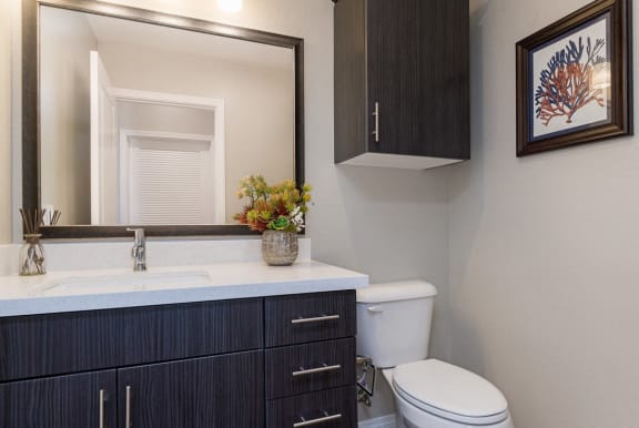 Quartz Countertops in Kitchen &amp; Bathrooms  at Salerno, Chula Vista, CA, 91913