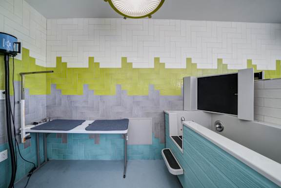 A bathroom with a blue and green tiled wall and a white sink.