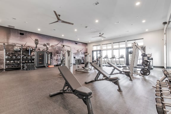 a gym with weights machines and a wall mural of gym equipment