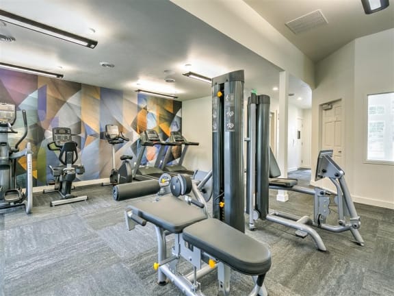 gym
