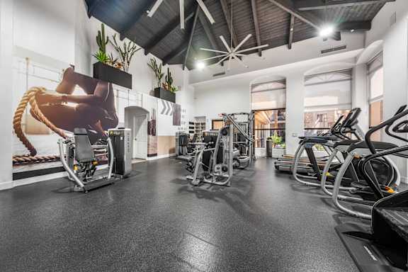 A gym with treadmills, exercise bikes, and other equipment.