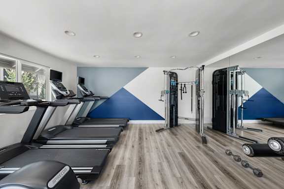 A gym with treadmills, elliptical machines, and dumbbells.