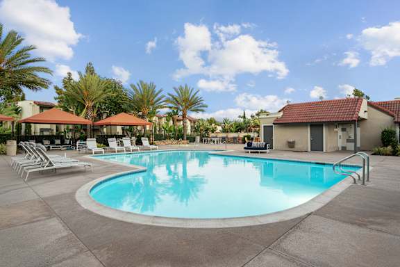 A large swimming pool surrounded by lounge chairs and palm trees.