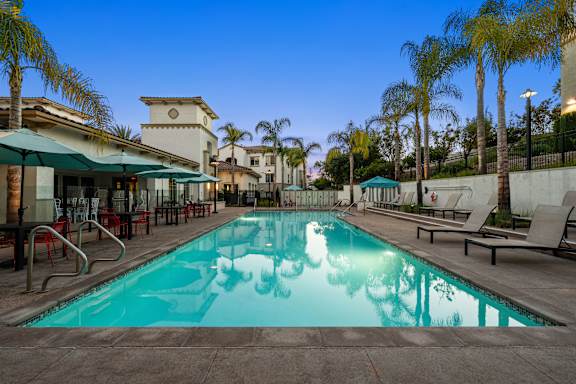 A resort-style heated swimming pool surrounded by palm trees and lounge chairs.