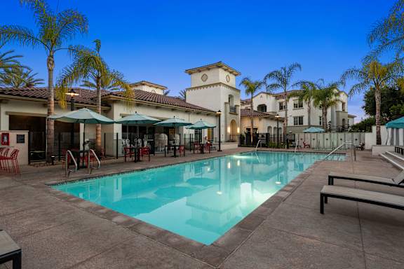 A resort-style heated swimming pool surrounded by palm trees and lounge chairs.