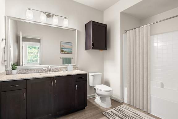 A bathroom with a white toilet and a sink with a mirror above it.