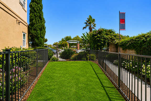 A well-manicured lawn is bordered by a black metal fence.