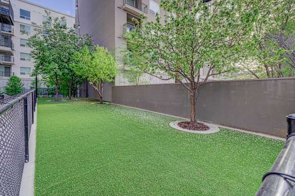 A tree in a small garden in front of a building.