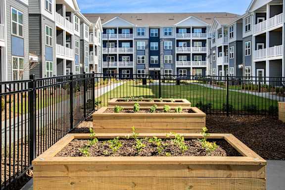 A row of wooden planters with green plants in front of apartment buildings.