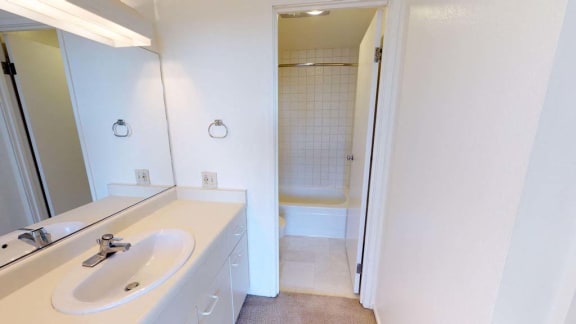 a bathroom with a sink a mirror and a shower