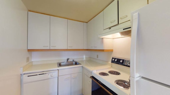 a kitchen with a stove top oven next to a refrigerator