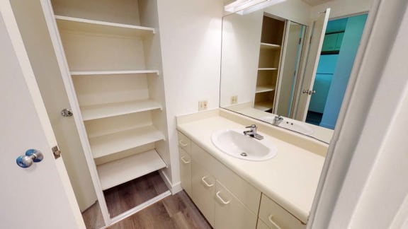 a bathroom with a sink and a mirror