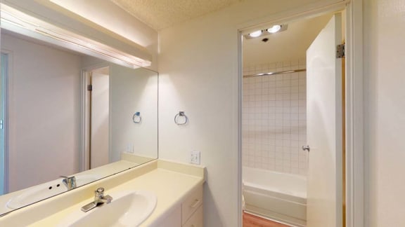 a bathroom with a sink and a bath tub