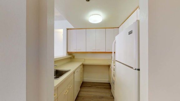 a kitchen with a white refrigerator freezer next to a sink