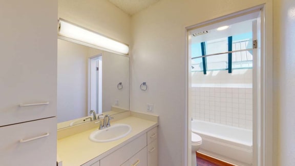 a bathroom with a sink and a bath tub