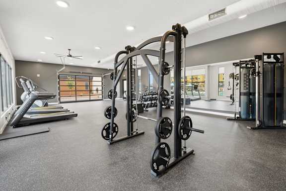 A gym with a treadmill, weights, and a squat rack.