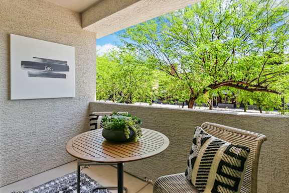 A patio with a table, chair, and a plant.