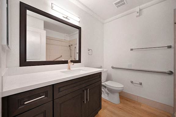 a bathroom with a sink and a toilet and a mirror