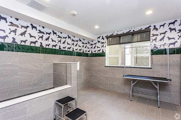 A Pet Wash and Grooming Table at 128 on State, Kirkland, WA, 98033