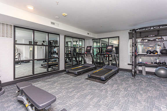 A gym with treadmills, weights, and exercise balls.