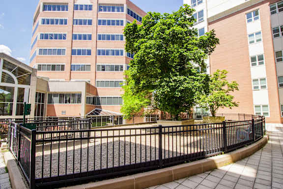 Dog Park at the Amelia in Quincy, MA 02169