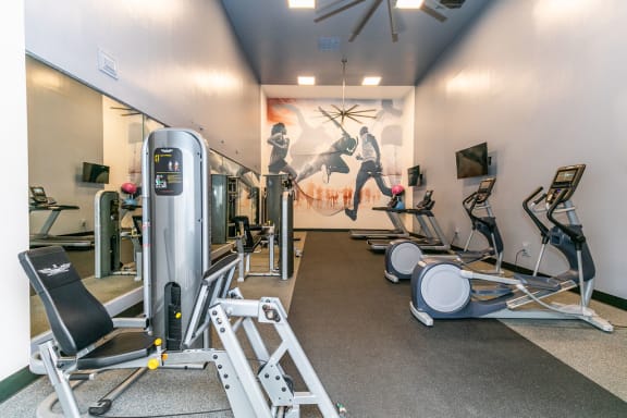 a gym with exercise equipment  at Briarcliff Apartments, Atlanta, GA, 30329and a painting on the wall