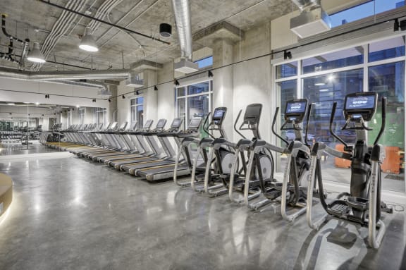 a row of cardio machines in a fitness gym at L Seven, California