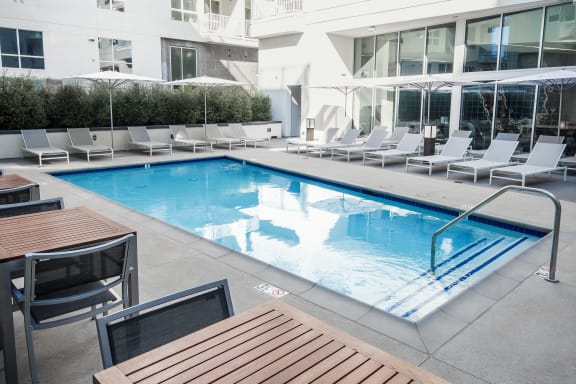 Pool at Delphine on Diamond, California, 94131