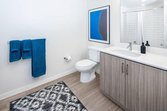 Modern Bathroom at Olive DTLA, Los Angeles, California