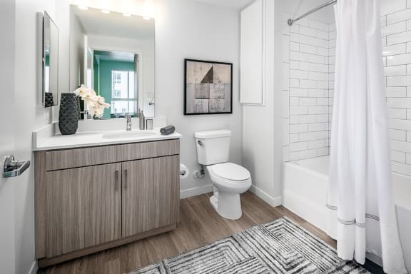 Luxurious Bathroom at Olive DTLA, Los Angeles, 90015